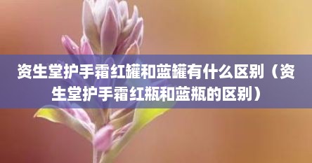 资生堂护手霜红罐和蓝罐有什么区别(资生堂护手霜红瓶和蓝瓶的区别)