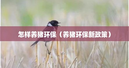 怎样养猪环保（养猪环保新政策）