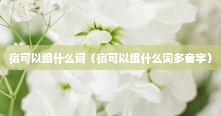 宿可以组什么词（宿可以组什么词多音字）
