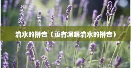 流水的拼音（更有潺潺流水的拼音）