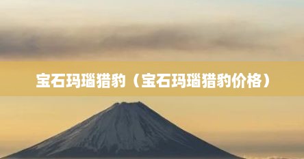 宝石玛瑙猎豹（宝石玛瑙猎豹价格）
