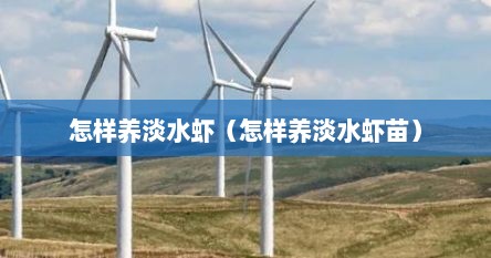 怎样养淡水虾（怎样养淡水虾苗）