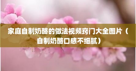 家庭自制奶酪的做法视频窍门大全图片（自制奶酪口感不细腻）