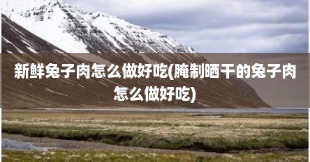 新鲜兔子肉怎么做好吃(腌制晒干的兔子肉怎么做好吃)