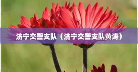 济宁交警支队（济宁交警支队黄涛）
