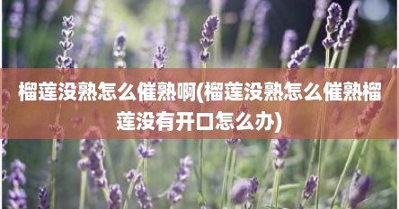 榴莲没熟怎么催熟啊(榴莲没熟怎么催熟榴莲没有开口怎么办)