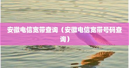 安徽电信宽带查询（安徽电信宽带号码查询）