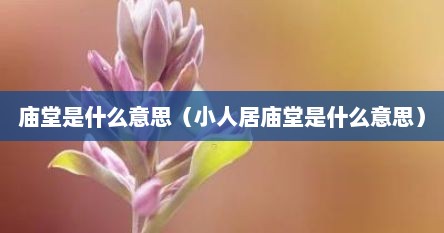 庙堂是什么意思（小人居庙堂是什么意思）