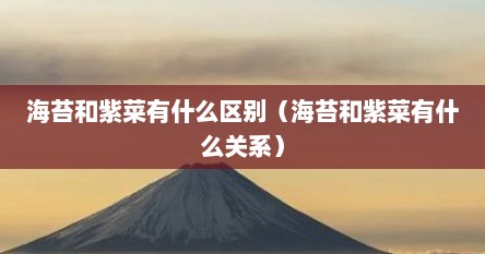 海苔和紫菜有什么区别（海苔和紫菜有什么关系）