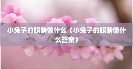 小兔子的眼睛像什么（小兔子的眼睛像什么答案）