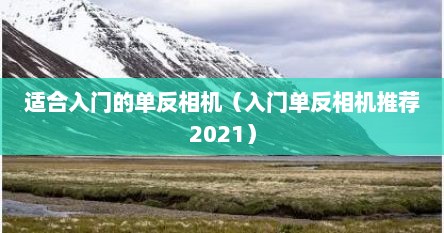 适合入门的单反相机（入门单反相机推荐2021）