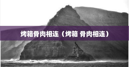 烤箱骨肉相连（烤箱 骨肉相连）