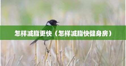 怎样减脂更快（怎样减脂快健身房）