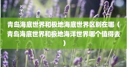 青岛海底世界和极地海底世界区别在哪（青岛海底世界和极地海洋世界哪个值得去）