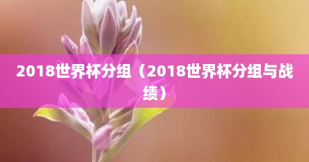 2018世界杯分组（2018世界杯分组与战绩）