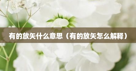 有的放矢什么意思（有的放矢怎么解释）