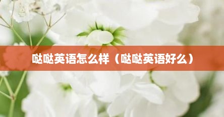 哒哒英语怎么样（哒哒英语好么）