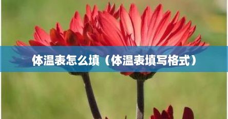体温表怎么填（体温表填写格式）
