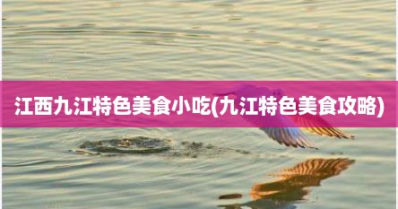 江西九江特色美食小吃(九江特色美食攻略)