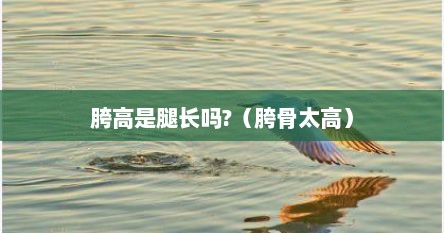 胯高是腿长吗?(胯骨太高)