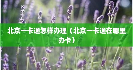 北京一卡通怎样办理（北京一卡通在哪里办卡）