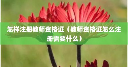 怎样注册教师资格证（教师资格证怎么注册需要什么）