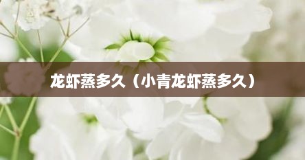 龙虾蒸多久（小青龙虾蒸多久）