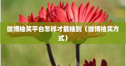 微博抽奖平台怎样才能抽到（微博抽奖方式）