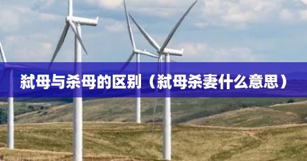 弑母杀妻是什么意思（弑母杀兄什么意思）