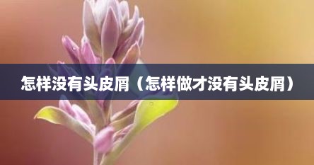 怎样没有头皮屑（怎样做才没有头皮屑）