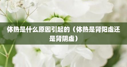 体热是什么原因引起的（体热是肾阳虚还是肾阴虚）