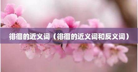 徘徊的近义词（徘徊的近义词和反义词）