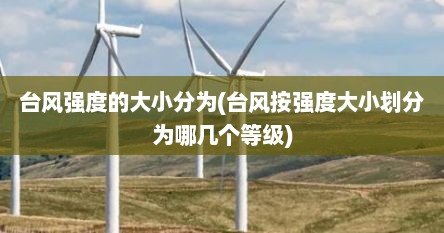 台风强度的大小分为(台风按强度大小划分为哪几个等级)