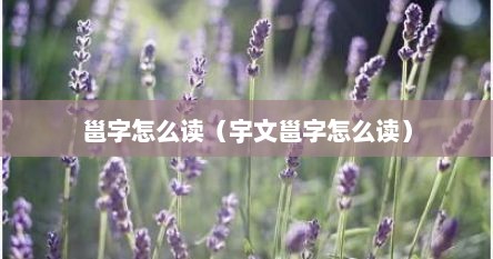 邕字怎么读（宇文邕字怎么读）