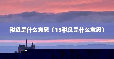 税负是什么意思（15税负是什么意思）