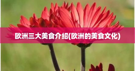 欧洲三大美食介绍(欧洲的美食文化)