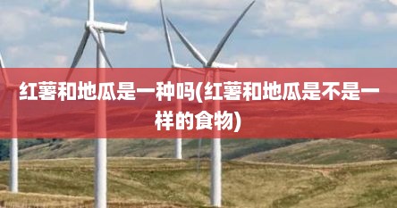 红薯和地瓜是一种吗(红薯和地瓜是不是一样的食物)