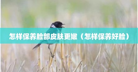 怎样保养脸部皮肤更嫩（怎样保养好脸）