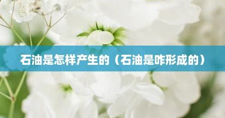 石油是怎样产生的（石油是咋形成的）