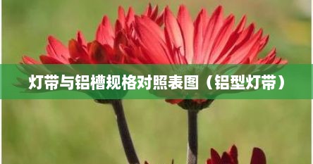 灯带与铝槽规格对照表图（铝型灯带）