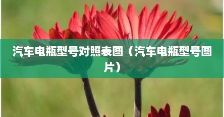 汽车电瓶型号对照表图（汽车电瓶型号图片）