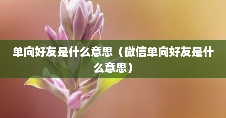 单响好友是什么意思（微信单响好友是什么意思）