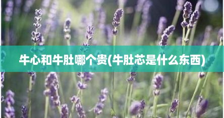 牛心和牛肚哪个贵(牛肚芯是什么东西)