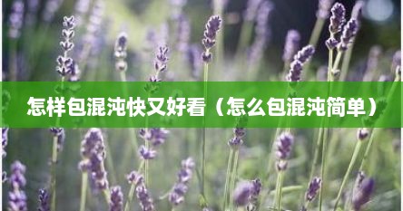 怎样包混沌快又好看（怎么包混沌简单）