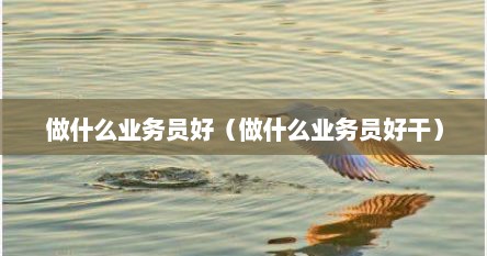 做什么业务员好（做什么业务员好干）