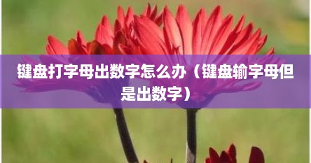 键盘打字母出数字怎么办（键盘输字母但是出数字）