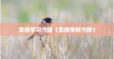 怎样学习汽修（怎样学好汽修）