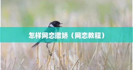 怎样网恋撒娇（网恋教程）