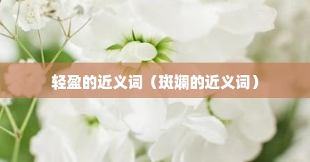 用轻盈和斑斓造句（轻盈的近义词!）