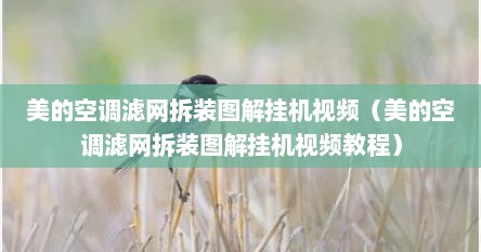 美的空调滤网拆装图解挂机视频（美的空调滤网拆装图解挂机视频教程）